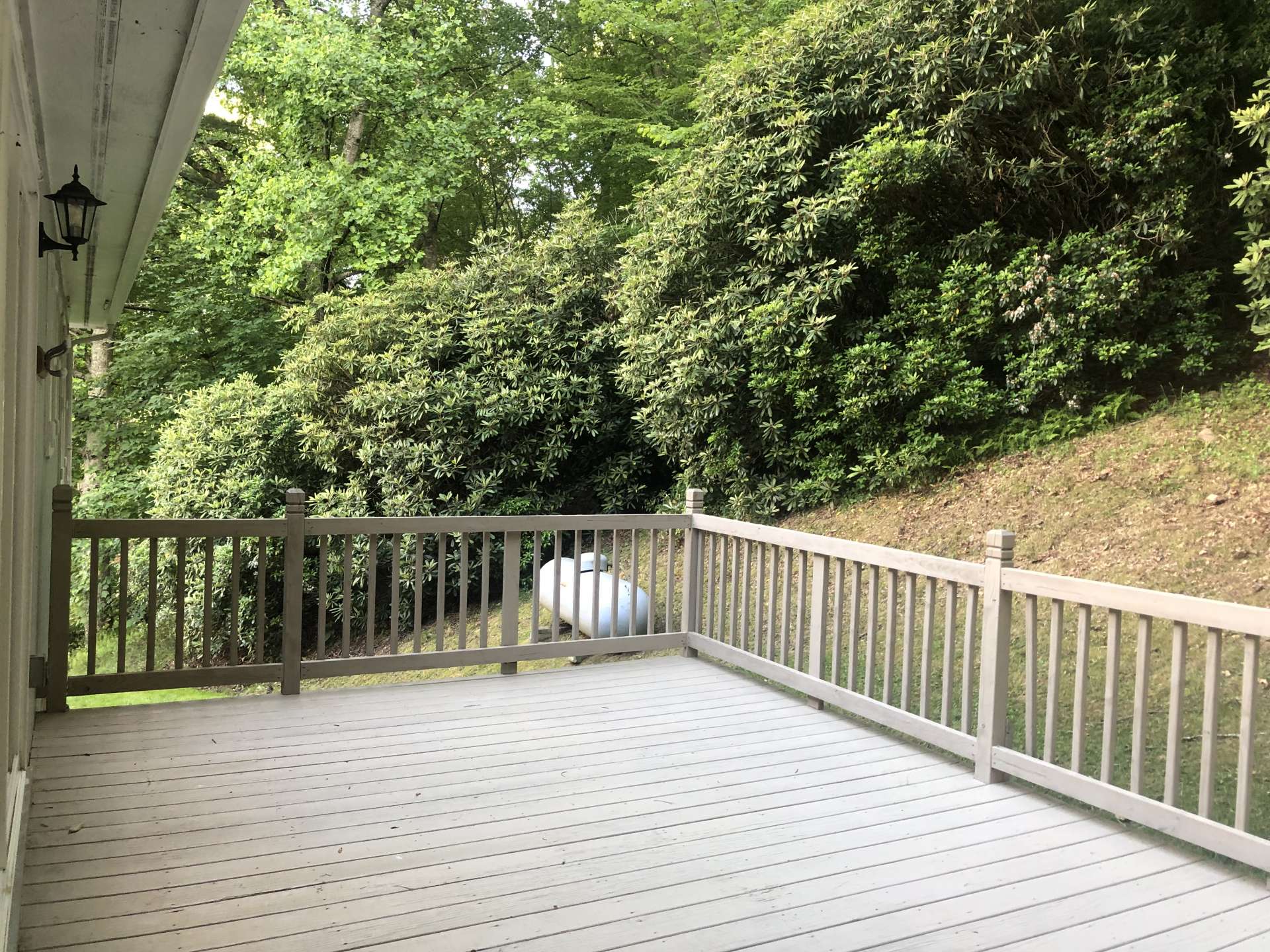 Back deck which looks into the woods behind the home